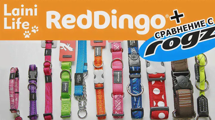 Обзор ошейников Red Dingo и сравнение с ROGZ