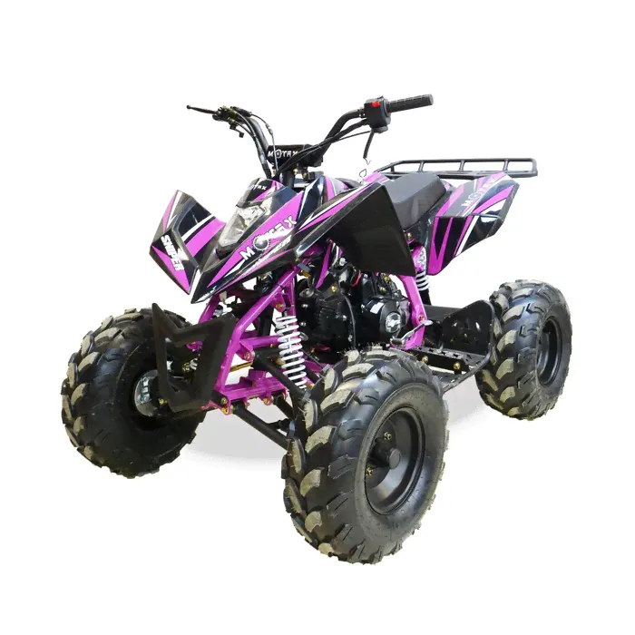 Квадроцикл бензиновый MOTAX ATV T-Rex LUX 125 cc, черно-фиолетовый