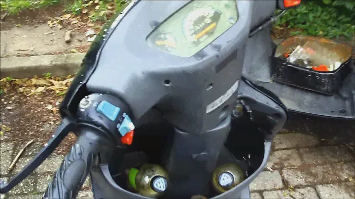 Rex rs 450 80ccm und LeoVince Aupuff