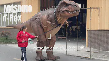 DCTR602 7m Giant T Rex Costume