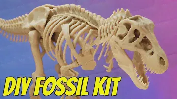 3D Printed T-Rex + DIY Fossil Digging Kit