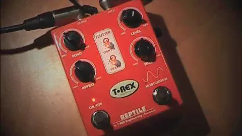 T Rex Reptile: Presented by Sadie