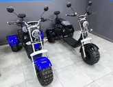 Электроскутер Minako Rex Trike,3000 Вт,Черный