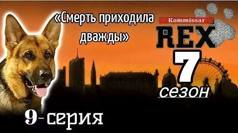 Комиссар Рекс, 7 сезон, 4 серия «Блеф»