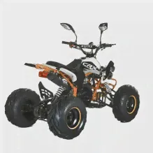 Квадроцикл MOTAX ATV T-Rex-LUX 50 сс-2