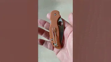 Spyderco Sage 5 in Rex 121