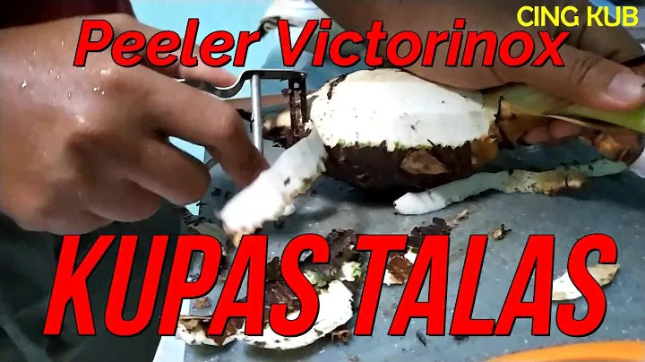 Cara Kupas Talas  I  Victorinox Potato Peeler 7.6070