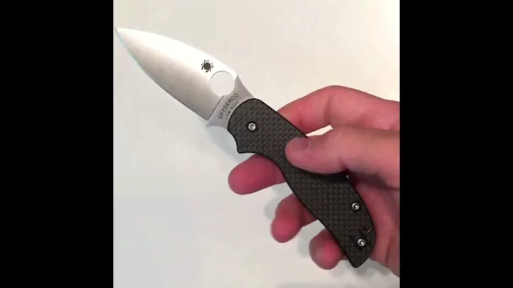 Spyderco Sage 5