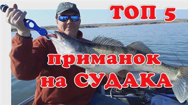 Лучшие Силиконовые Приманки ▶ Fishing 2023 ▶ Топ 5 | Fishing 2022