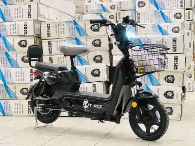 Электроскутер двухместный с педалями (электровелосипед) T-REX 54 New Power 600w 48v 20Ah (2024) (черный)-0
