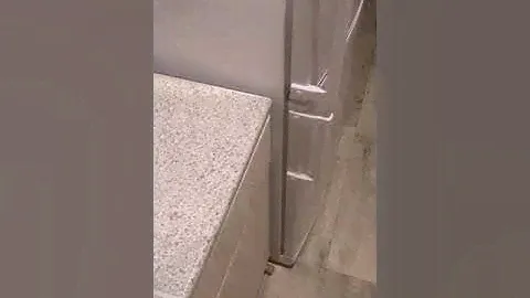 Главный минус Девон-рекса