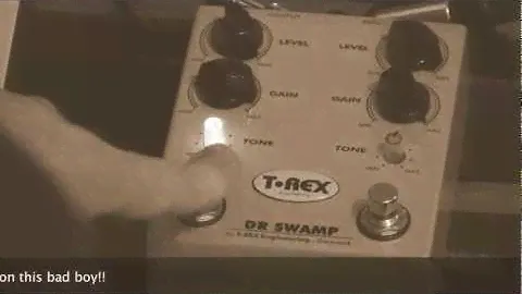 Обзор педали T-Rex Dr Swamp Dual Distortion и Overdrive