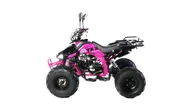 Квадроцикл MOTAX ATV T-Rex Super LUX 50 сс
