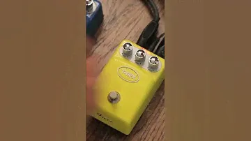 PEDAL T-REX TONEBUG FUZZ