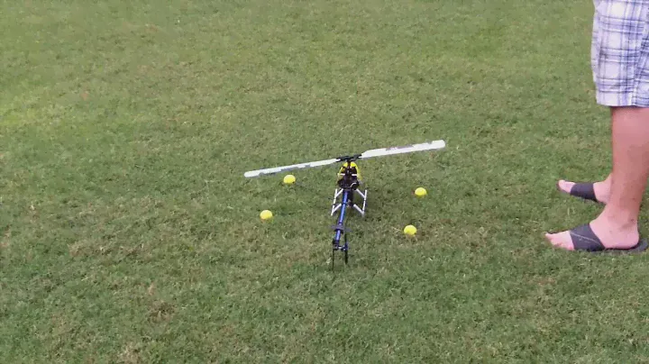 First Flight TREX 450 PLUS