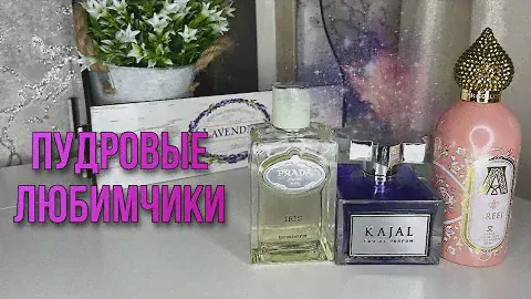 ЛЮБИМОЕ ❤️ПУДРОВЫЕ ЛЮБИМЧИКИ
