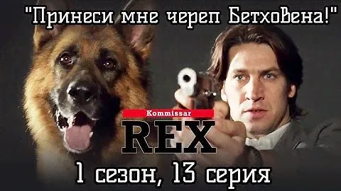Комиссар Рекс, 1 сезон 13 серия ( Принеси мне череп Бетховена)1995 год