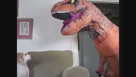 ROFL #13 СОБАКА В ШОКЕ ОТ...