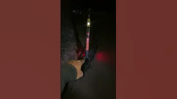 Заброшенный Электросамокат в Лесу