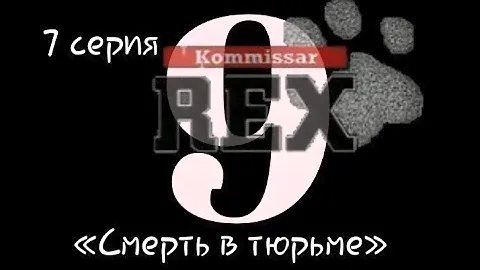 Комиссар Рекс, 9 сезон, 9 серия «Фотография»