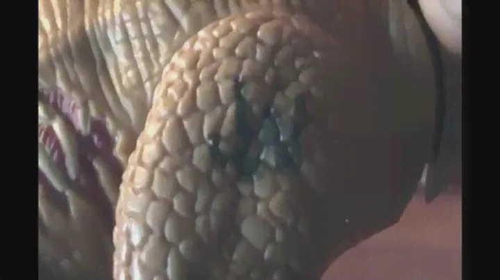 Jurassic World - Basher Biter Tyrannosaurus Rex - Review