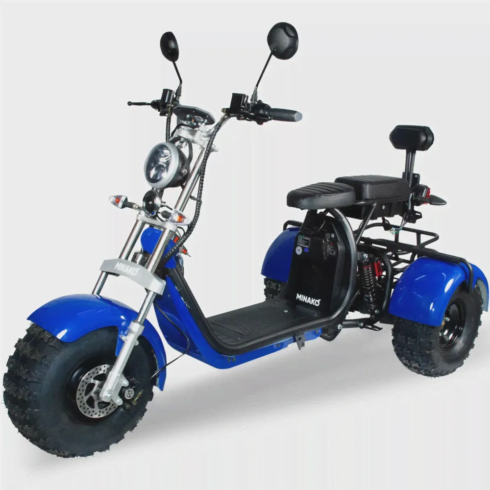 Электроскутер CityCoco Trike Minako REX 3000W Синий-3