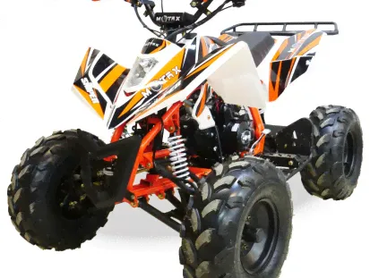 Квадроцикл Motax ATV T-Rex Super LUX 125 в Новосибирске-0