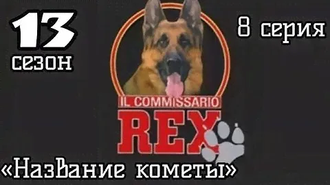 Комиссар Рекс, 13 сезон, 8 серия «Название кометы»