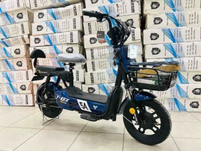 Электроскутер двухместный с педалями (электровелосипед) T-REX Power Super 54 500w 48v (2024)