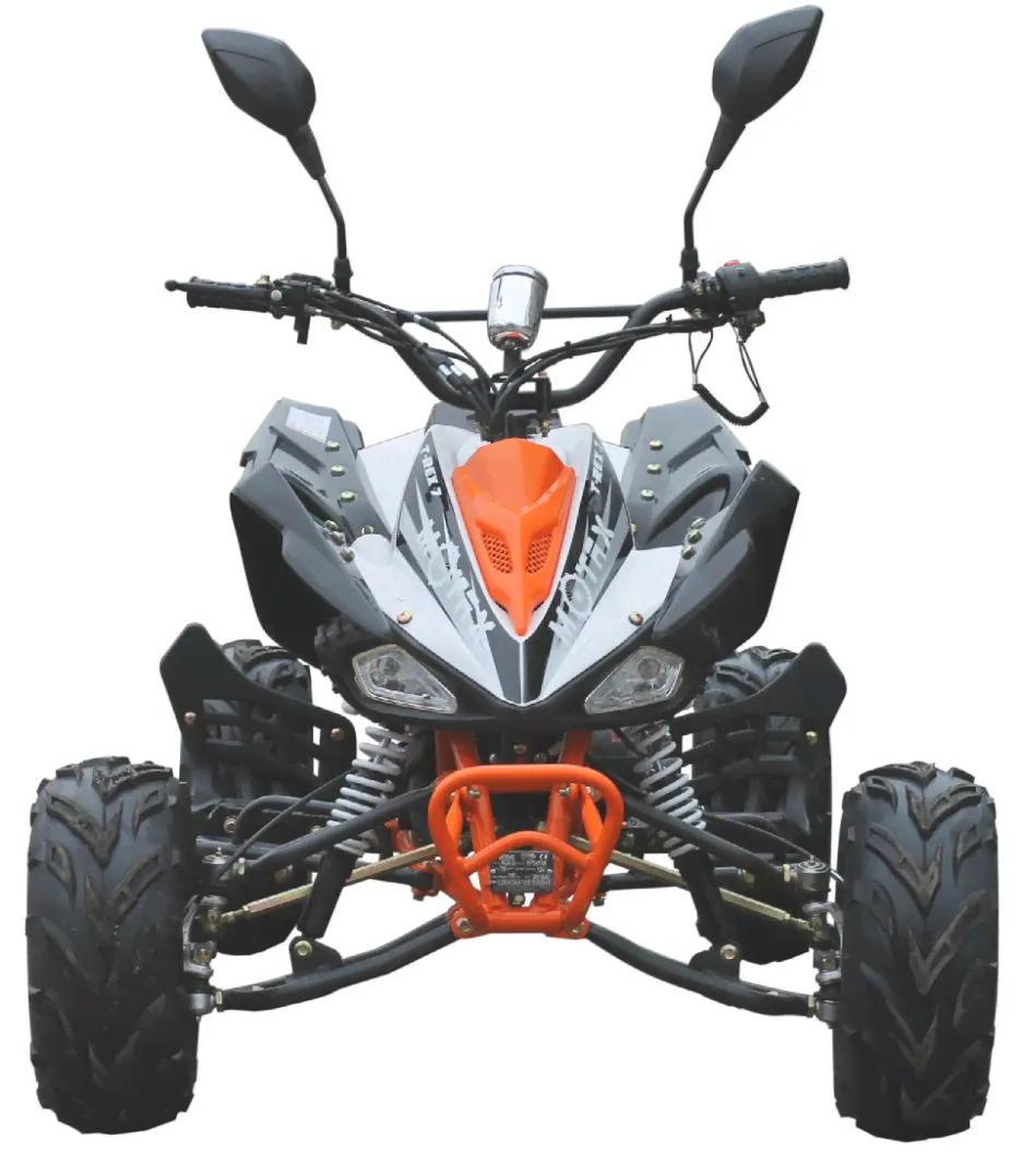 Бензиновый квадроцикл MOTAX ATV T-Rex LUX 125 cc-1