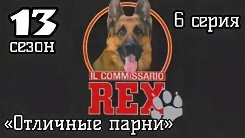 Комиссар Рекс, 13 сезон, 6 серия «Отличные парни»