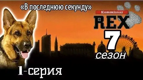 Комиссар Рекс, 7 сезон, 1 серия «В последнюю секунду»