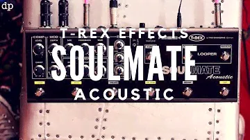 Идеальная педаль для акустической гитары? Эффекты T-Rex SOULMATE Acoustic