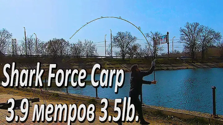 Реальная Дистанция Заброса Кормушки Карповым Удилищем Shark Force Carp Carbon 3.9 метров 3.5lb.