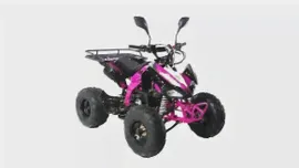 Квадроцикл MOTAX ATV T-Rex Super LUX 50 сс