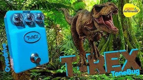 🐊 Review Overdrive T REX ToneBug