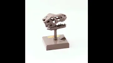 4M - KidzLabs - Roaring T-Rex Skull
