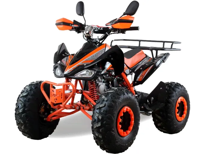 Подростковый квадроцикл Motax ATV T-Rex Super LUX 125 cc (125 кубов)-1