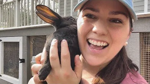 REX RABBITS | sexing, weaning, & breeding for meat