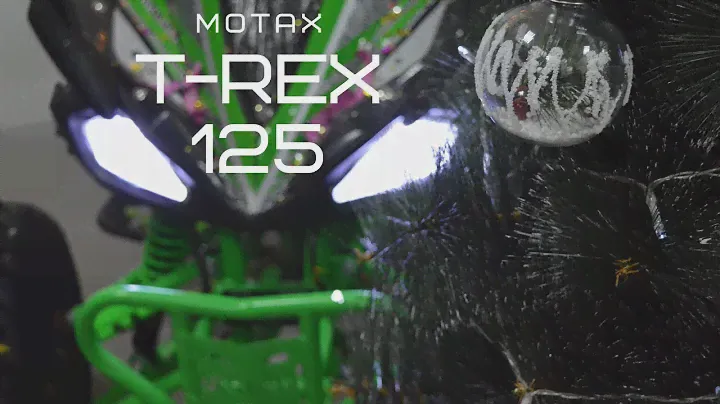 Обзор квадроцикла T-Rex 125сс