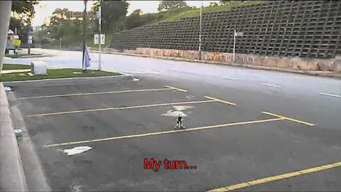 Beginner First Hover on Align T-Rex 500