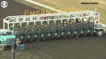 WEB EXTRA: T-rex Race