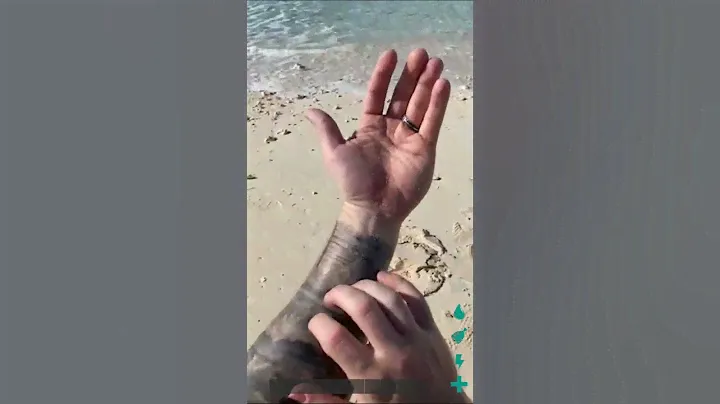 Ark: Survival Evolved Graphics Are Getting Insane!!