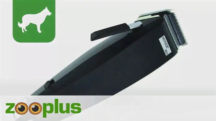 Dog Shearing Machine | Moser Rex | zooplus.co.uk