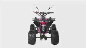 Квадроцикл MOTAX ATV T-Rex Super LUX 50 сс-3