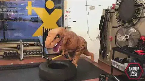 T-Rex goes to the gym!