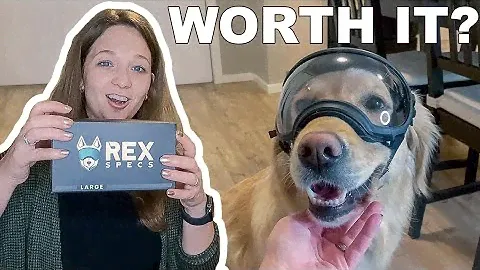 Rex Specs - Motorcycle Goggles for Dogs - Unpacking & First Try