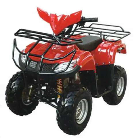 Квадроцикл бензиновый Тирекс (T-Rex) 125cc-0