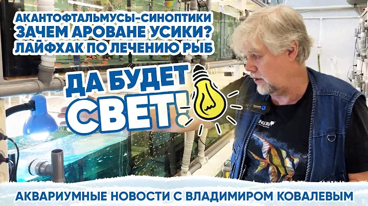 💡 Аквариумные новости с Владимиром Ковалевым (23.12.2023). Да будет свет!