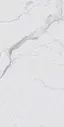 Напольная плитка Rex Ceramiche I Classici Statuario Soft Ret 60x120